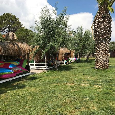 Palm Beach Otel Küçükkuyu Extérieur photo